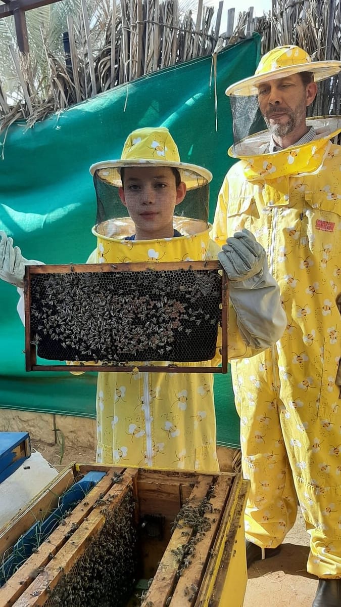 Abu Dhabi: Emirates Park Zoo – Interact, Explore, Discover Wildlife!