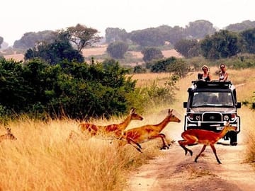 10-Day Adventure Safari in Uganda from Kampala