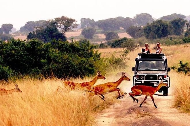 10-Day African Safari in Uganda from Kampala