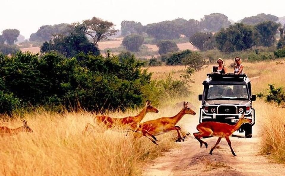 10-Day Adventure Safari in Uganda from Kampala