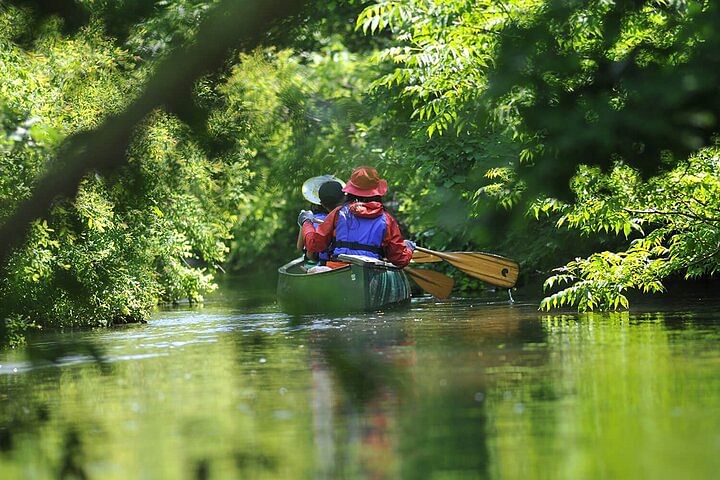 2 Hour Canoe on the Bibi River