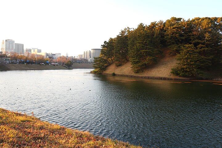 Small Group Walking Tour around Imperial palace and Hie Shrine