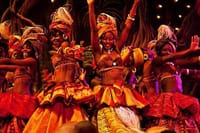 Cat dance Safari park hotel