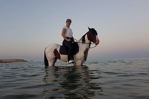 Horse Riding 3 Hours Discovery Sea & Desert & Camel ride With Transfer -Hurghada