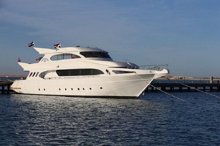 Swim with Dolphins Sea Trip Adventure with Lunch : Marsa Alam