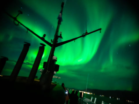 Golden Circle & Northern Lights by Boat Combo Tour