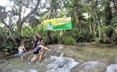 Private Day Trip to Dunn's River Falls from Montego Bay