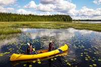 Authentic Reindeer Farm Visit with Canoe Trip in Lapland