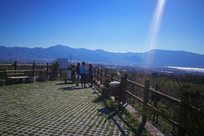 Vesuvius Shore Tour and Pompeii Site 3
