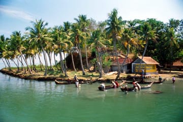 5-Day Kerala Culture and Backwaters Tour from Kochi