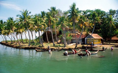 5-Day Kerala Culture and Backwaters Tour from Kochi