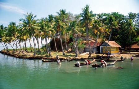 5-Day Kerala Culture and Backwaters Tour from Kochi