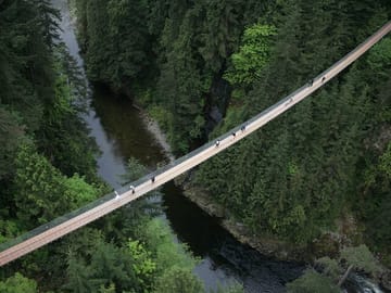 Capilano Suspension Bridge and Grouse Mountain Tour in Vancouver