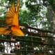 Bird Park