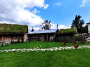 Gela Tours & Activities 10