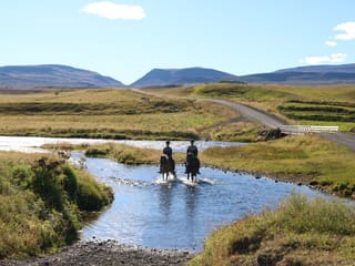 Pleasure in every hoof step, photo 13