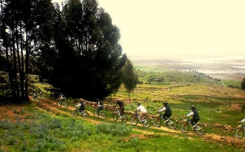 Sillustani Bike Tour through Puno's Scenic Landscapes