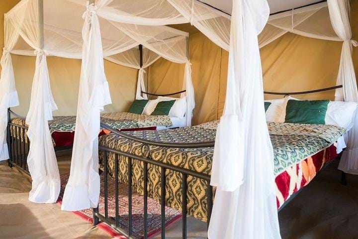 Serengeti willdebeest camp