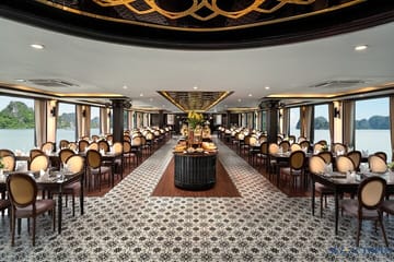 Sea Octopus Cruise Day Trip From Hanoi With Express Bus