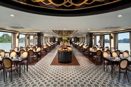 Sea Octopus Cruise Day Trip From Hanoi With Express Bus