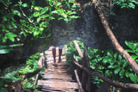 Zanzibar: Revealing The Hidden Wonders of Kuza Cave 2