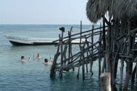 ENJOYING THE PELICAN BAR