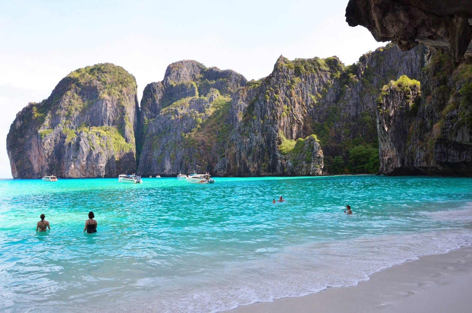 From Krabi: Phi Phi Islands Speedboat Day Tour