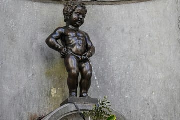Brussels Day Trip from Amsterdam with Guided Tours and Transport