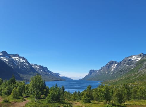 Tromsø: Scenic Fjords & Islands Small-Group Tour