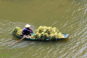 Small Group Day Tour of Hoa Lu and Tam Coc from Hanoi