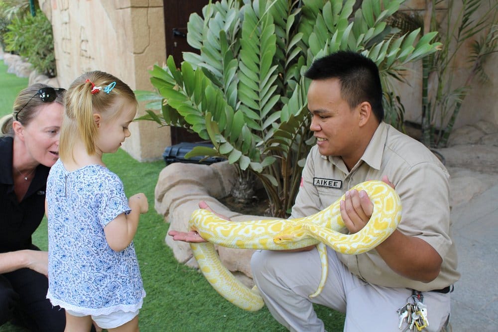 Abu Dhabi: Emirates Park Zoo – Interact, Explore, Discover Wildlife!