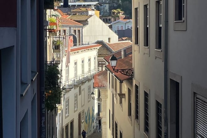 Private Porto Masterclass Walking Tour: History, Highlights & Hidden Gems 9