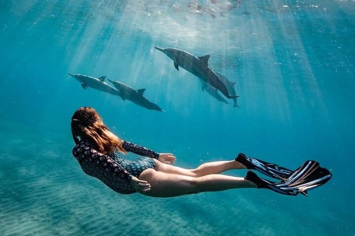 Dolphin House Snorkeling Cruise in Hurghada with Lunch