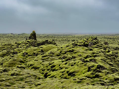 2 Day Summer Adventure to Icelands South Coast, Glacier Hiking, Jökulsárlón, Diamond Beach and Waterfalls, photo 7