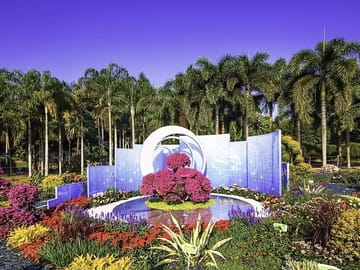 Shenzhen Skyline and Landmarks Sightseeing Tour