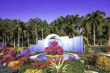 Shenzhen Customized Sightseeing Tour with Local Guide