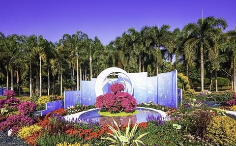 Shenzhen Customized Sightseeing Tour with Local Guide