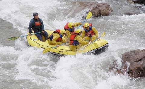 Rafting and Ziplining Adventure in Potrerillos, Mendoza