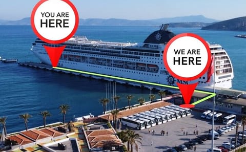 Private Ephesus Tour from Kusadasi Port for Cruise Passengers