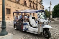 Private Tuk-Tuk Tour of Granada from the 18th to the 21st Century 7