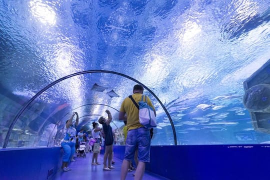 Kemer: Antalya Aquarium Ticket With Optional Transfer