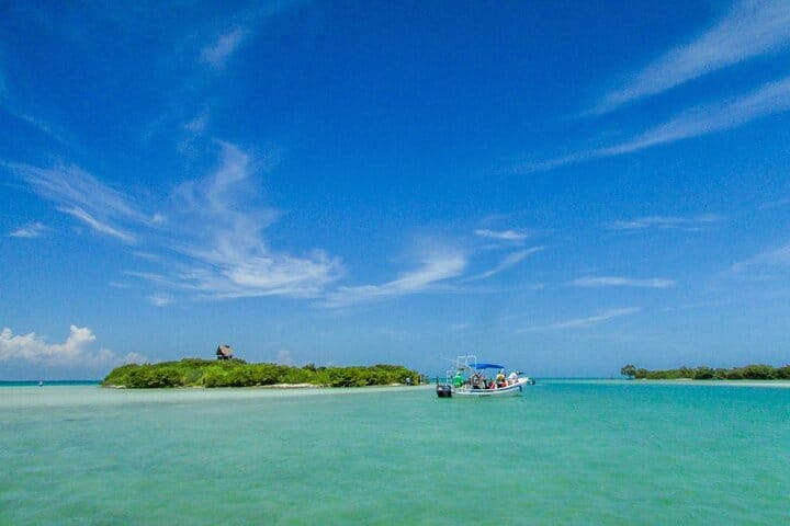 Holbox Island Tour with Pasion Island and Punta Mosquito 9