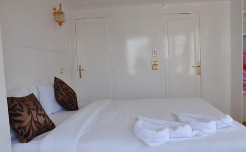 Private 4-Day Nile Cruise from Aswan to Luxor with Tours