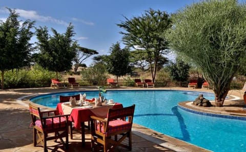 5-Day Wildlife Safari Adventure in Nairobi, Kenya
