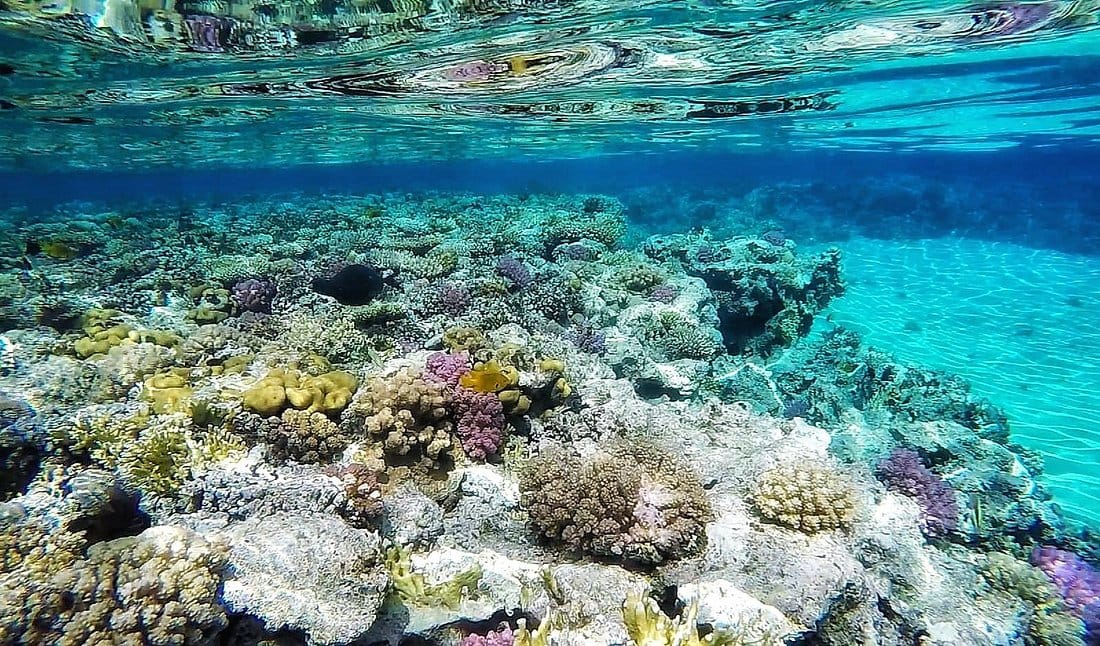 trip to the Valley of the Nile