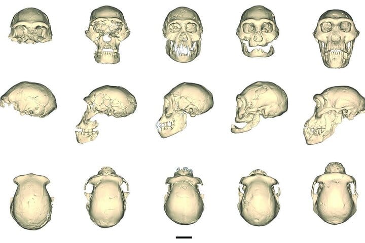 4 Full days in Georgia with private tour, free aiport