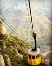 Montserrat & Penedes Winery Private Day Trip with Cava Tasting 8