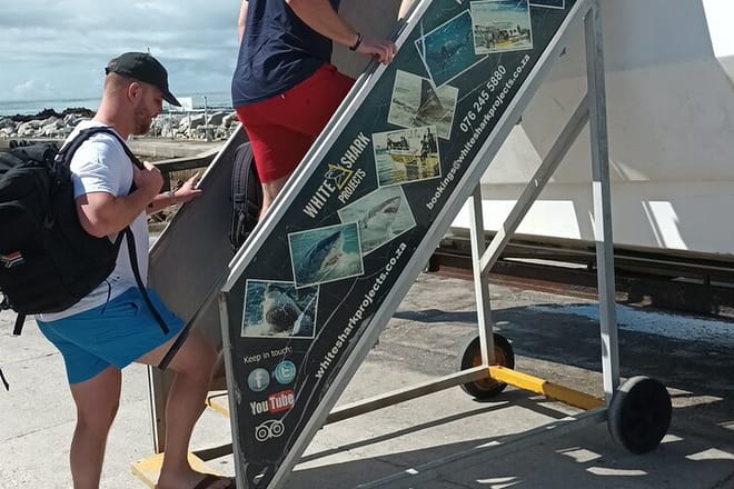 Shark Diving Adventure Penguins in Gansbaai From Cape Town F Day 7