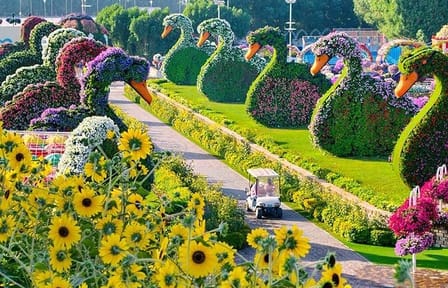 Dubai Miracle Garden with private round trip transfers