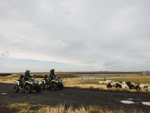 1h ATV Tour – Volcanic Trails of Grindavík, photo 2